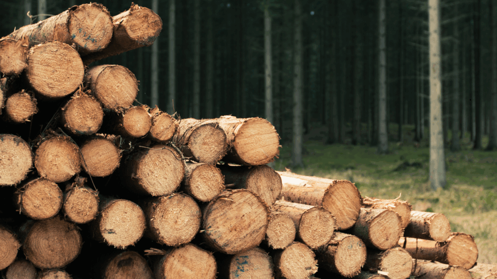 Drewno konstrukcyjne impregnowane by uniknąć zagrożeń i dowieźć najlepszą jakość