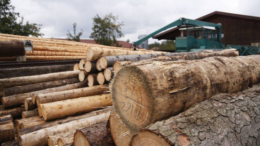 Na obrazku widać ułożone bale drewna