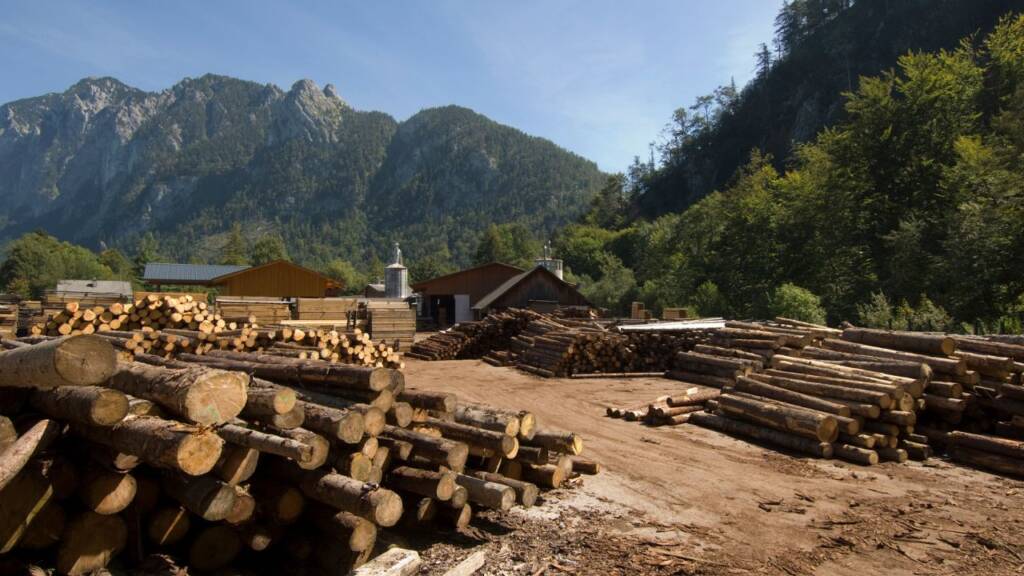Na obrazku widać ułożone drewno. W tle rozciąga się górski krajobraz.