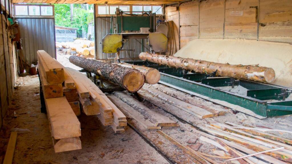 Na obrazku widać pocięte drewno